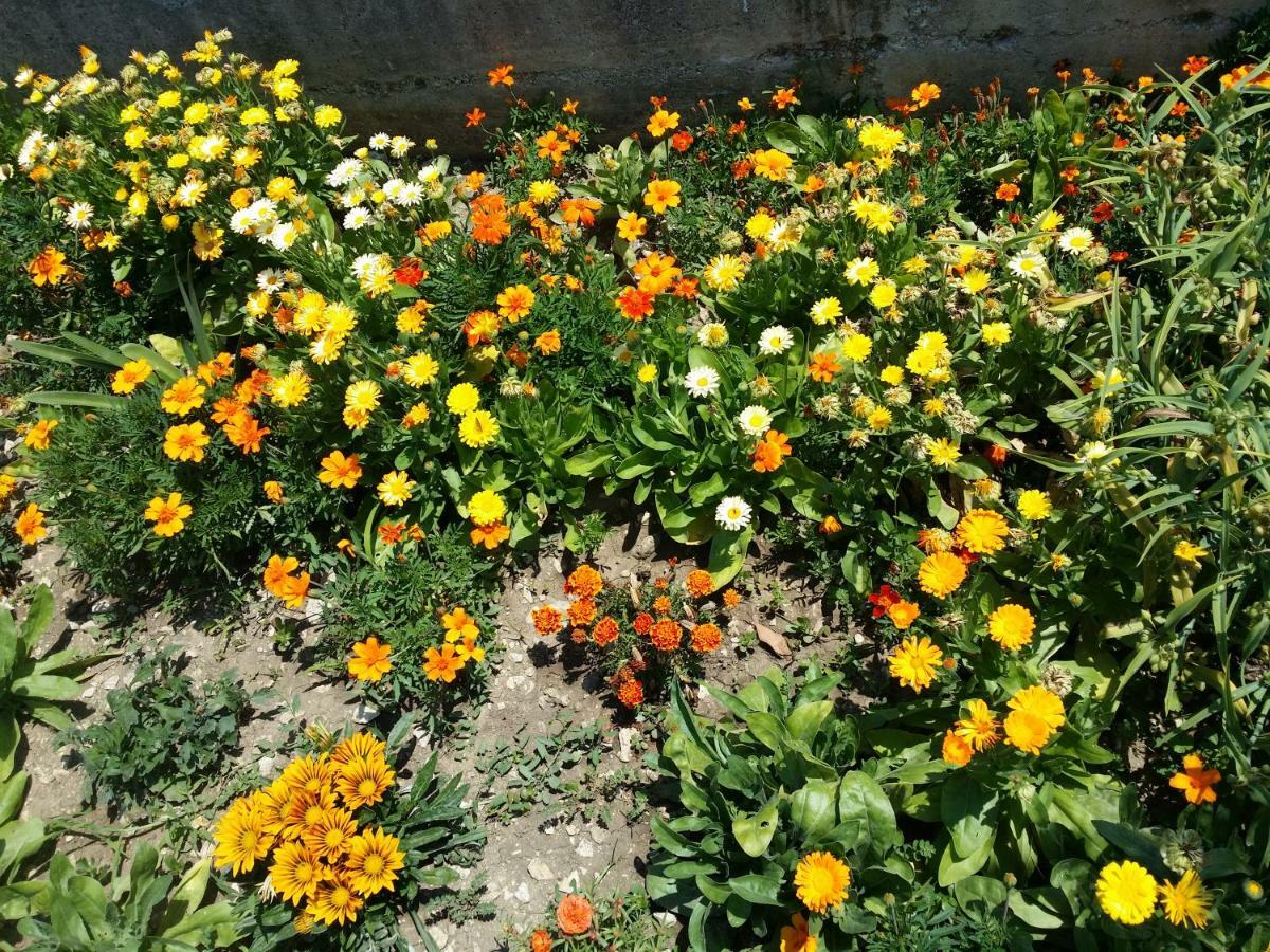 Marina Slano Apartment מראה חיצוני תמונה